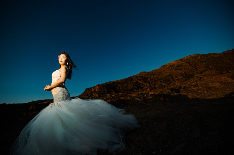 【本日の一枚】