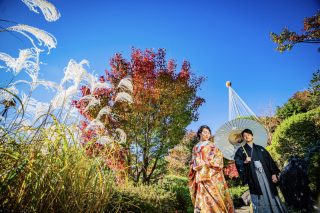 【和装・本日の一枚】