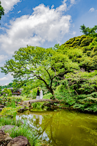 撮れたて【本日の一枚】