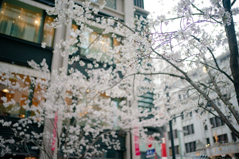 【本日のロケ地】