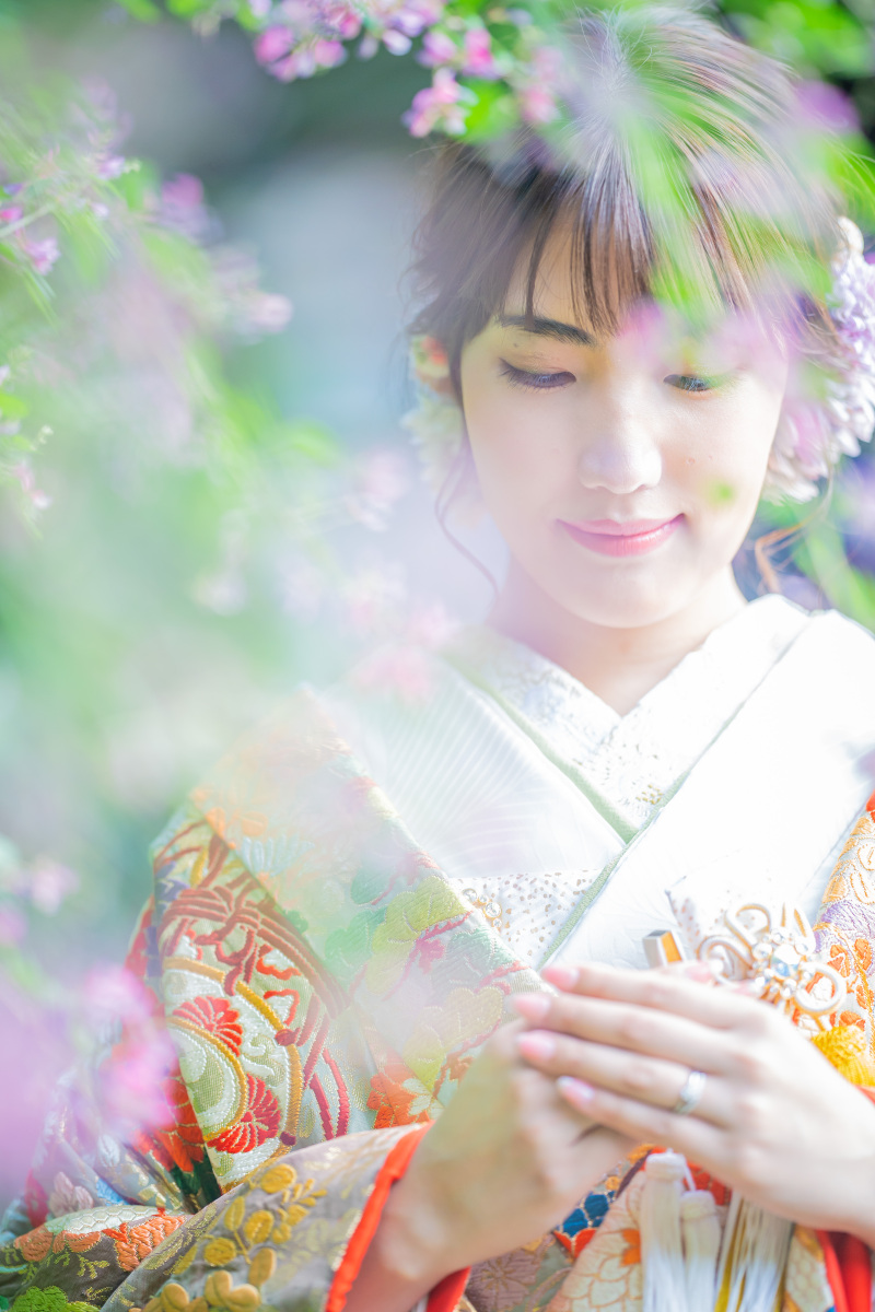 【本日の一枚】