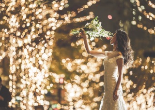 【本日の一枚】