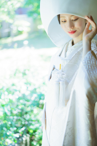 川越前撮り【本日の一枚】