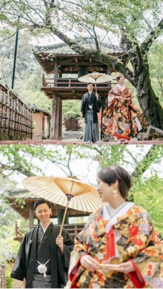 新緑・川越前撮り【本日の一枚】