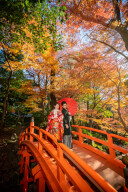 川越前撮り【本日の一枚】