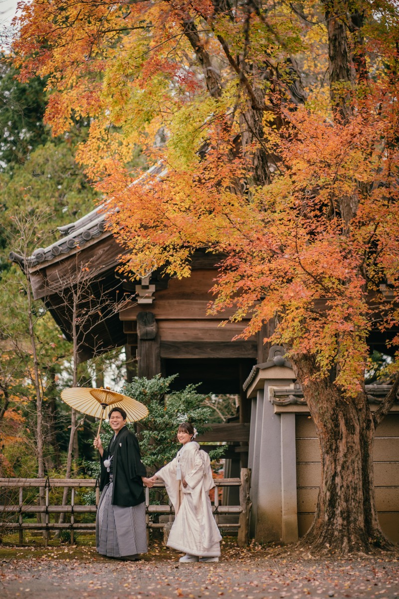 川越前撮り【本日の一枚】