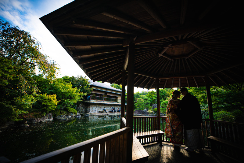 【本日の一枚】