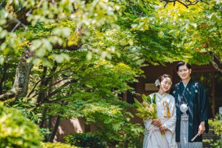 【本日の一枚】