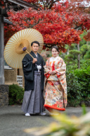 【本日の一枚】