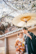 桜・川越前撮り【本日の一枚】