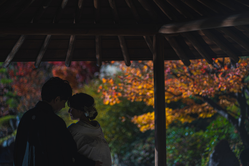 【本日の一枚】