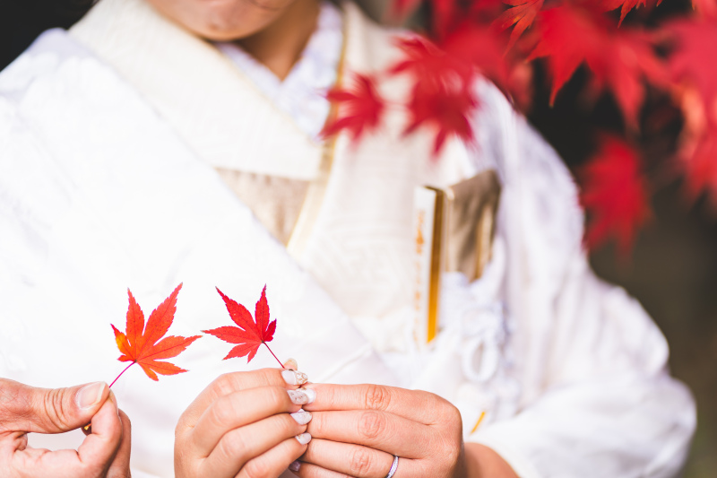 第2弾【紅葉和装前撮り・庭園&和室予約の優先予約】