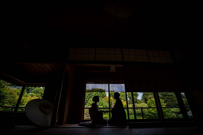 夏の目白庭園【本日の一枚】