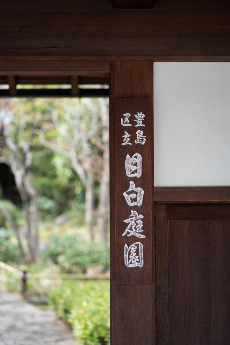 <目白庭園の桜の開花状況>