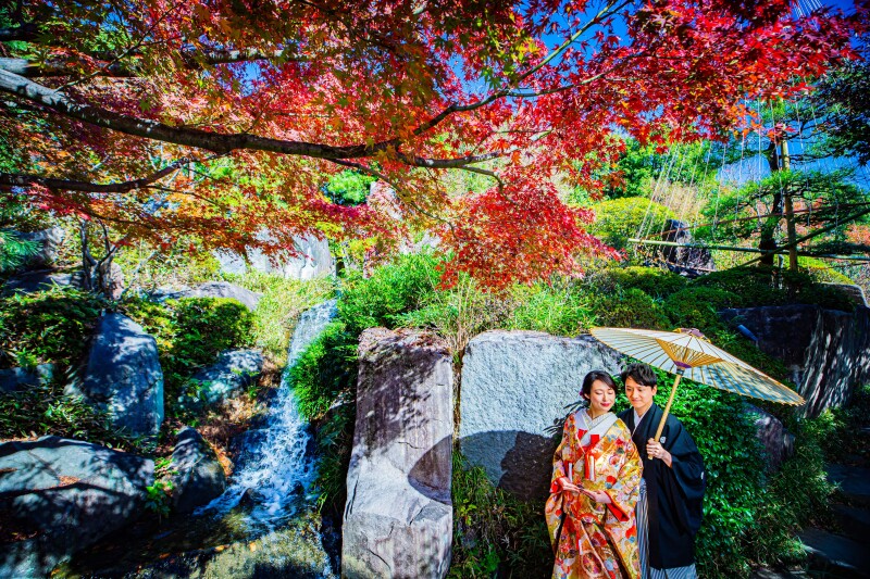 目白庭園【本日の一枚】