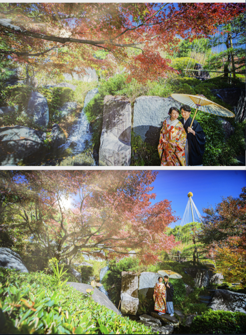 最高のタイミングはなかなか来ない【本日の一枚】