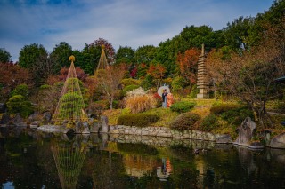 引き絵【本日の一枚】