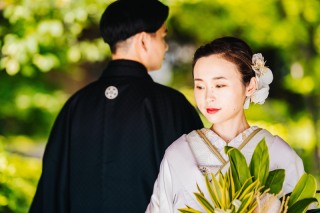 【本日の一枚】