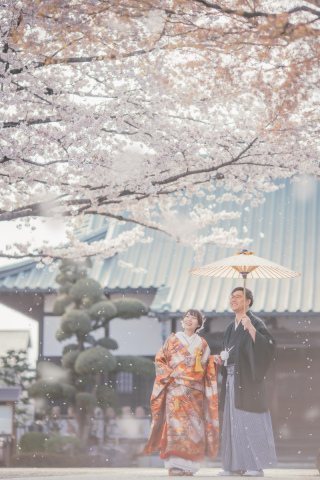 川越前撮り【本日の一枚】