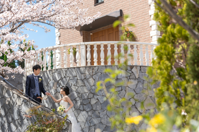 期間限定開催での桜前撮りプランが登場!!