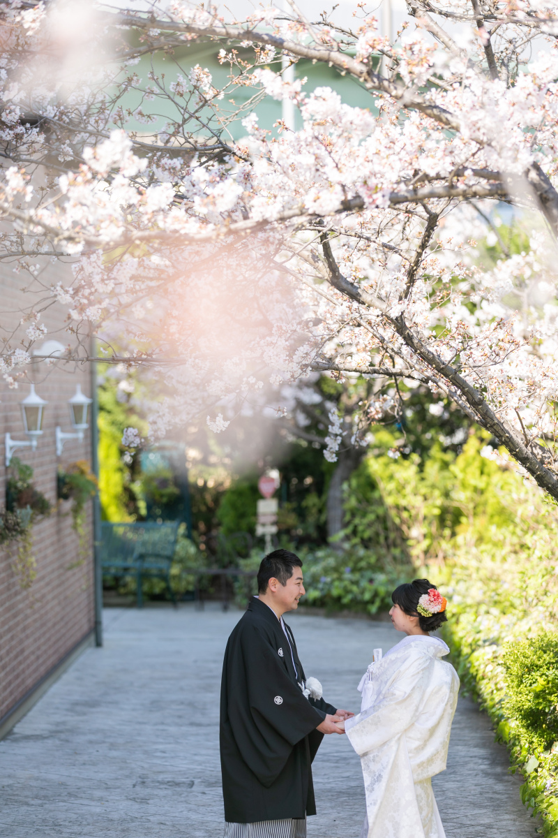 期間限定開催での桜前撮りプランが登場!!