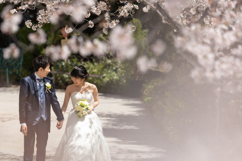 期間限定開催での桜前撮りプランが登場!!