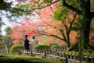 本日も営業しております♪♪