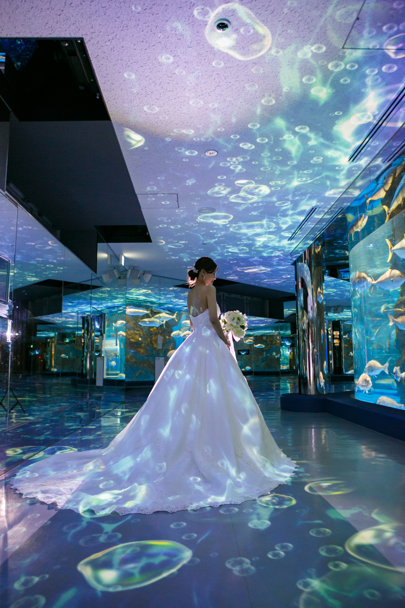 水族館での撮影がキテる…！