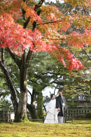 紅葉見頃の時期は…?!