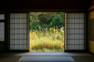 本日も営業しております♪♪