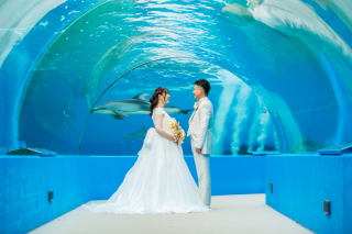 ロケーション撮影