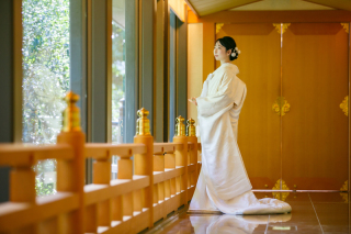 本日も営業しております♪♪