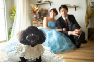【新!愛犬と一緒に撮影プラン】抱っこで撮影ガンガンやっちゃいましょう!!!!