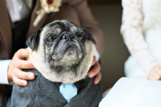 本日も元気に営業しております♪♪