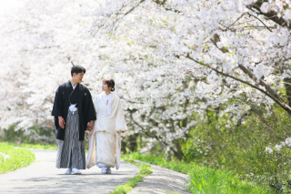 桜の開花予想！！