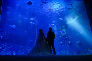 私達っぽさ☆☆洋装編☆☆