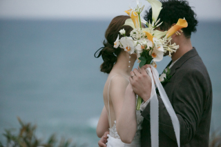 本日はお休みです