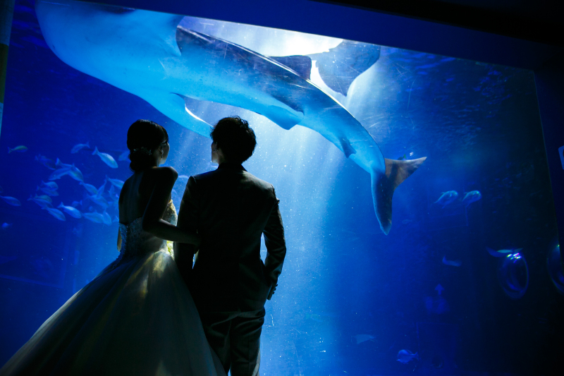 水族館での撮影がキテる…！