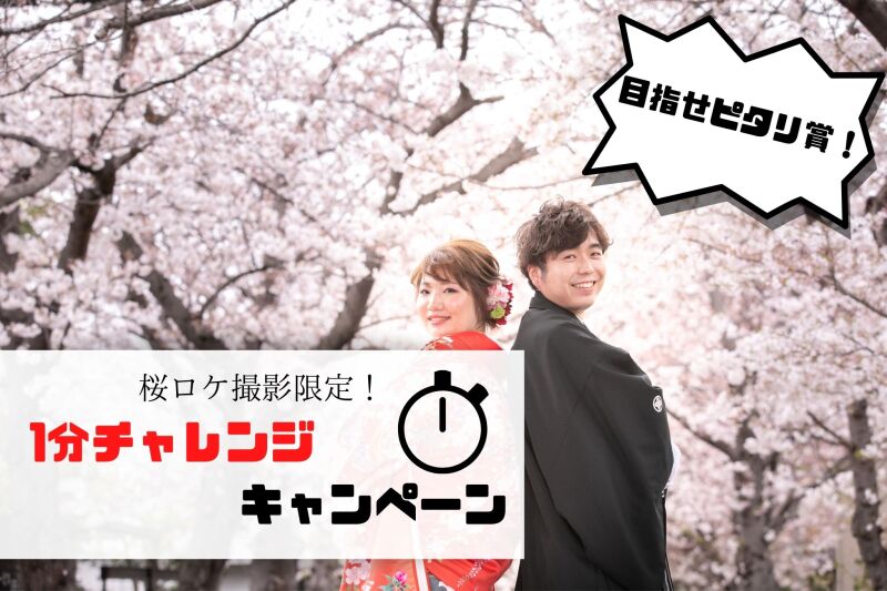 【挑戦者求む】2月だけの桜ロケ撮影限定&お友達紹介キャンペーンのお知らせ♪