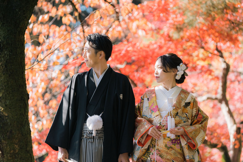 秋です!紅葉です!絶 好の撮影シーズン到来!