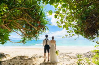 天浜ビーチの緑スポット☘️