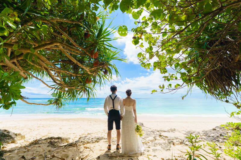 天浜ビーチの緑スポット☘️