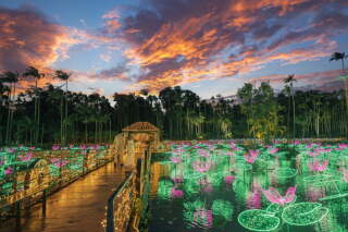 イルミネーションでナイト撮影