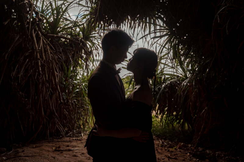 シルエット写真も素敵です♪