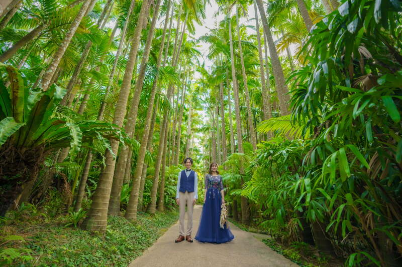 海だけじゃない！大自然フォト(東南植物楽園)