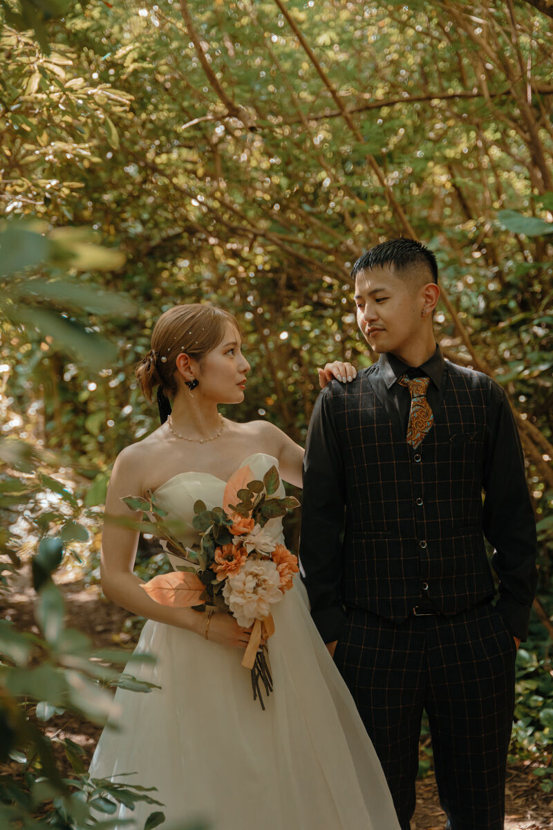 森の中のワンシーン