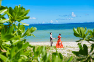 お急ぎ便もございます！！