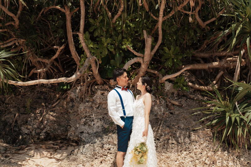 天浜ビーチの緑スポット☘️