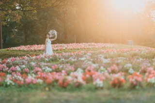 ♡11月1・2・3日ブライダルフェア残席のご案内♡