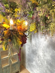 ★スタジオリニューアル★